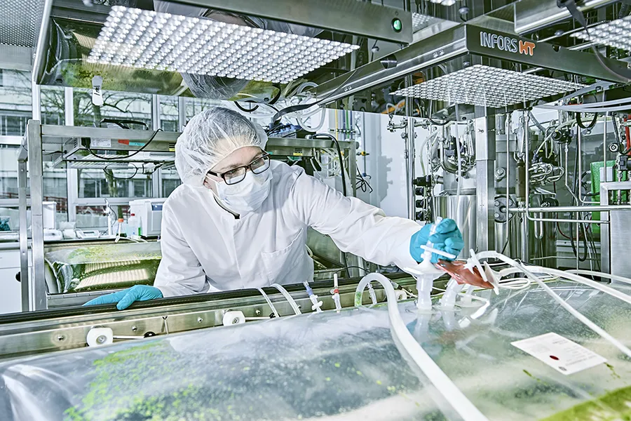 Industriefoto im Reinraum, eine Frau kontrolliert den Laboraufbau